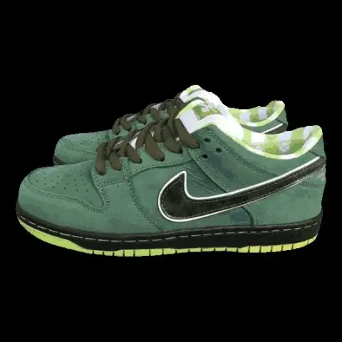 Nike Dunk Shoes
