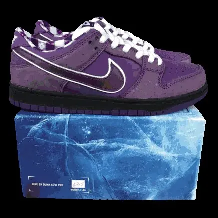 Nike Dunk Shoes