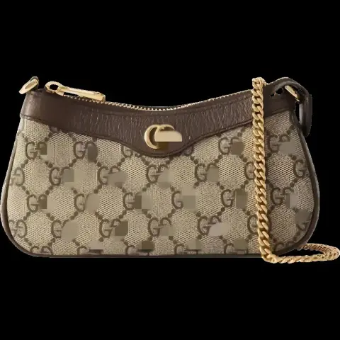 Gucci Ophidia bag