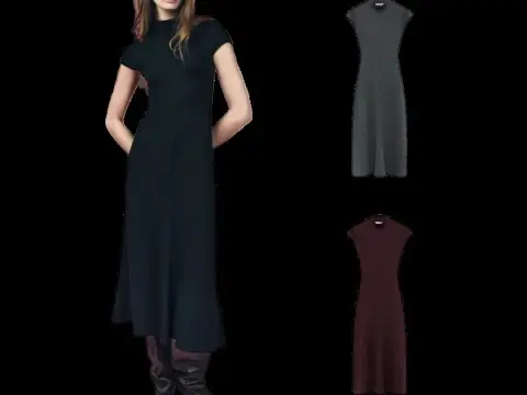 Zara Dress
