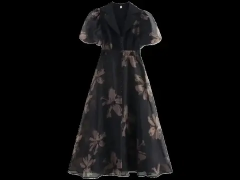 Zara Dress