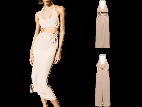Zara Dress