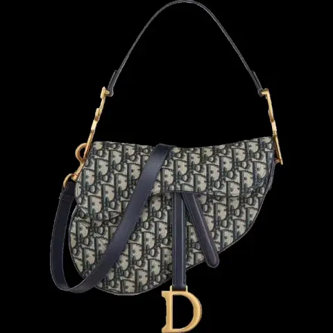 Dior saddle bag