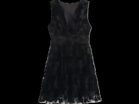 Zara Dress