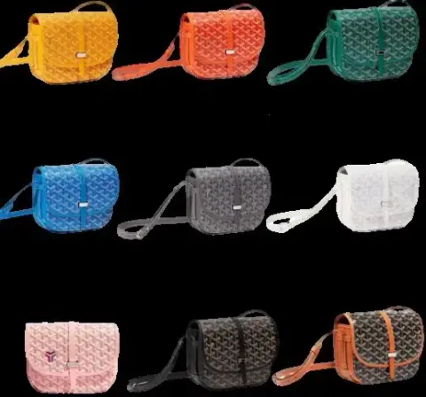 Goyard Bag