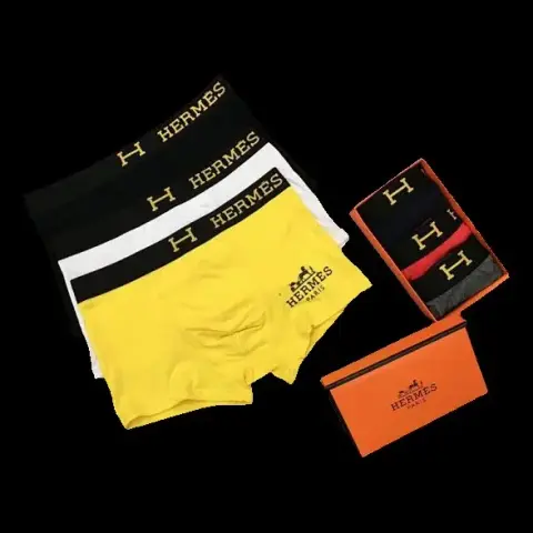 Hermes Underwear
