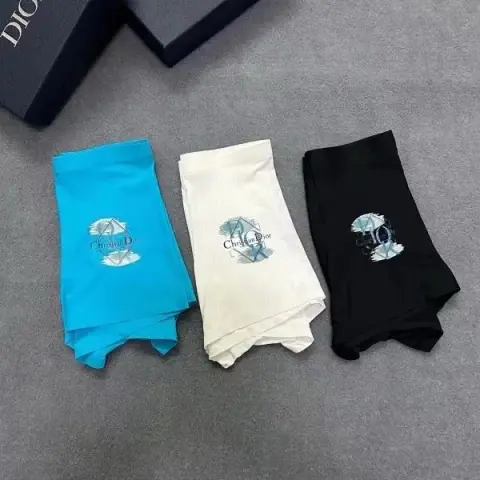 Dior Underwear