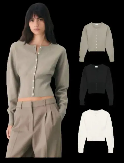 Aritzia Wilfred