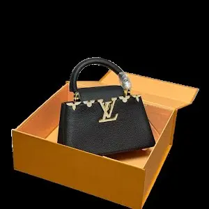 LV Louis Vuitton Handbag