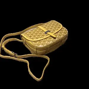 30+ Goyard Bags