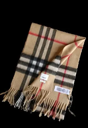 Burberry scarf
