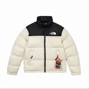 The North Face Budget 1996 Retro Puffer Jacket