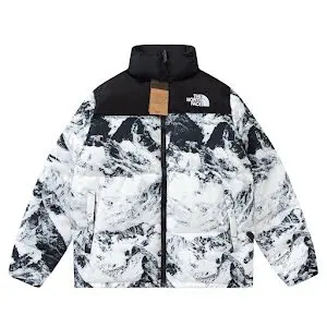 The North Face down jacket