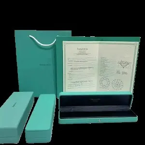 Tiffany & Co. Watch Box