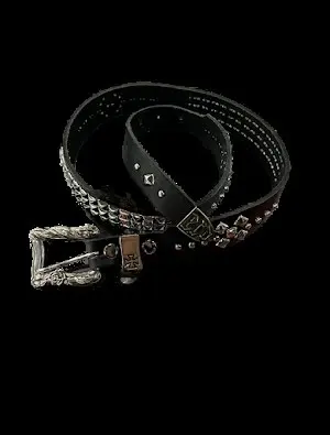 Erd Belt