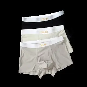 DIOR Underwear