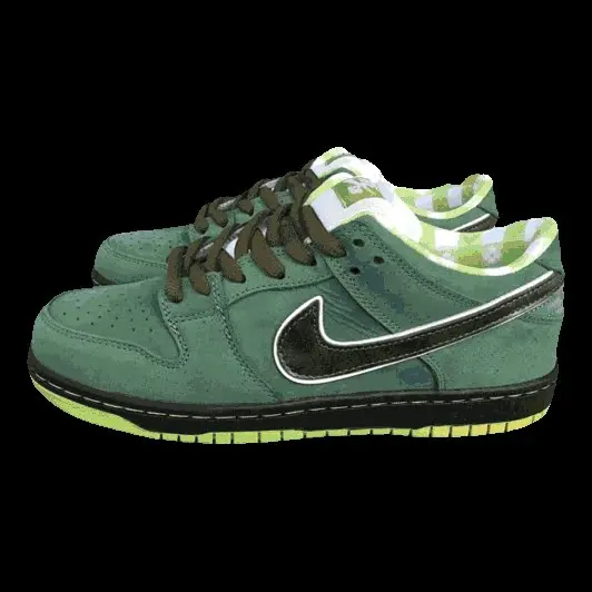 Nike Dunk Shoes