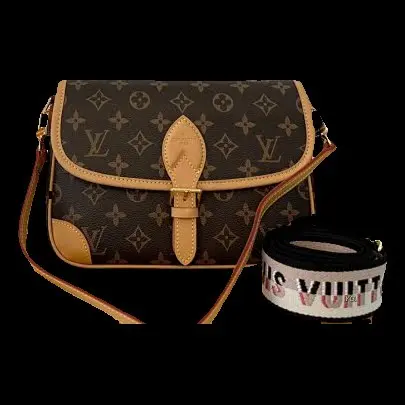 LV Bag