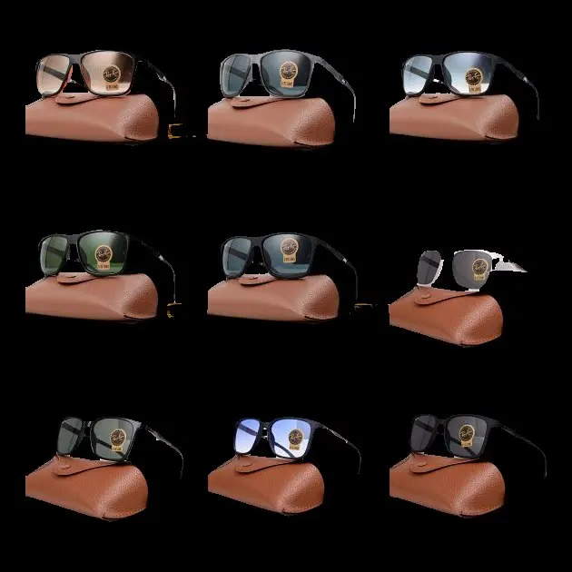 Ray-Ban Glasses