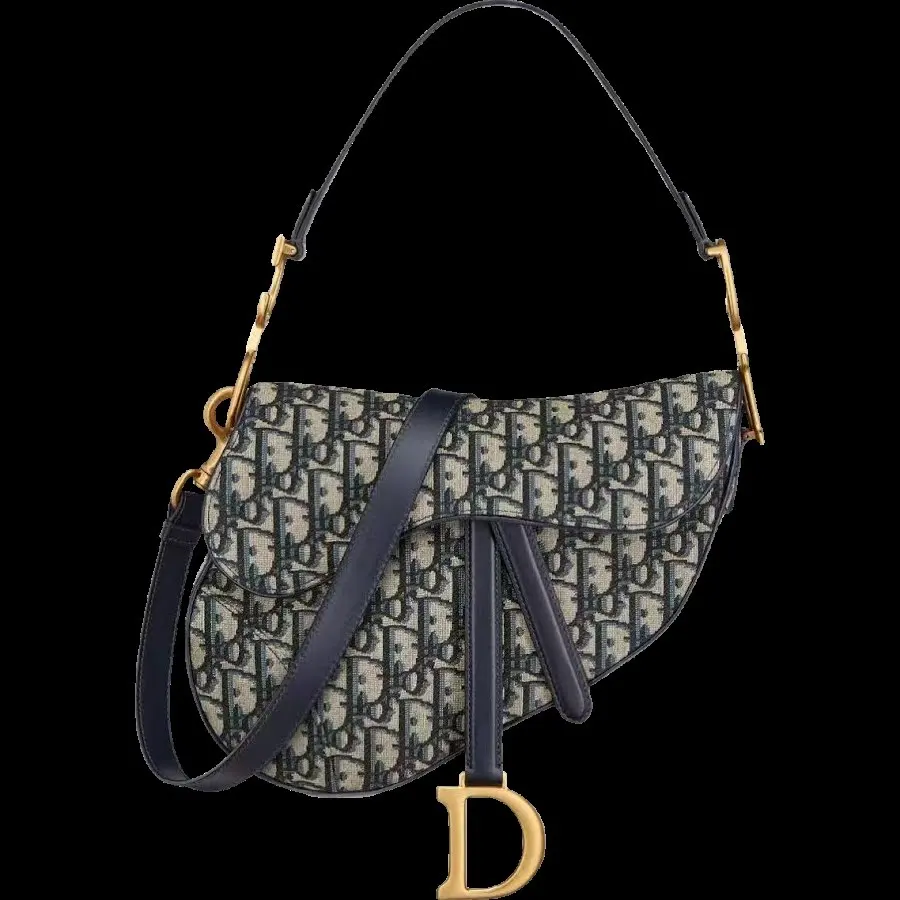 Dior saddle bag