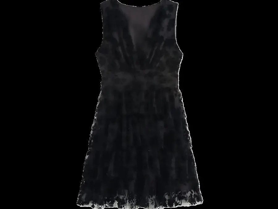 Zara Dress