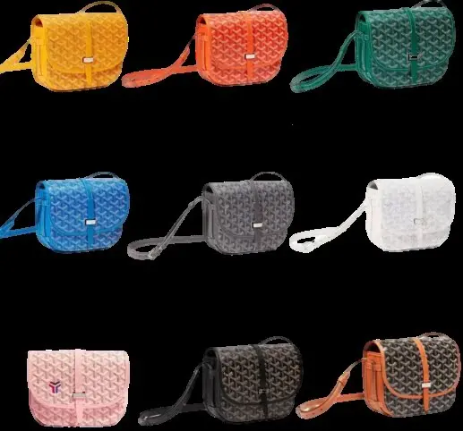 Goyard Bag