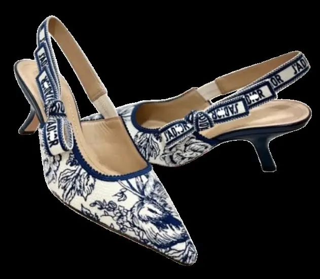 Dior High Heels