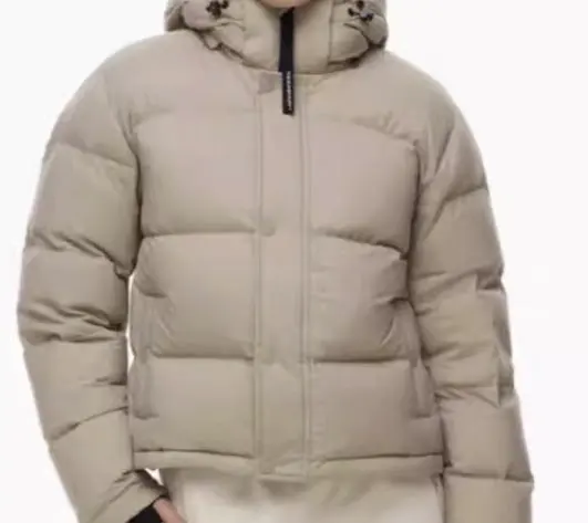 Aritzia Puffer Jacket