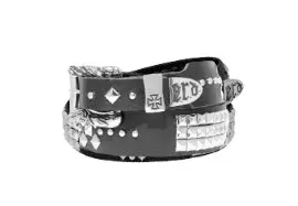 Erd Belt