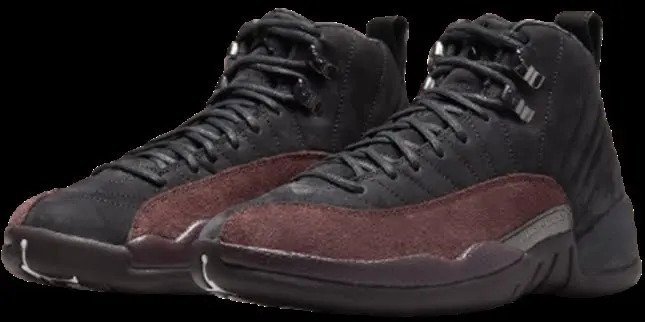 Nike air jordan 12