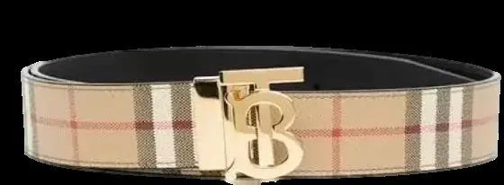 Burberry belt