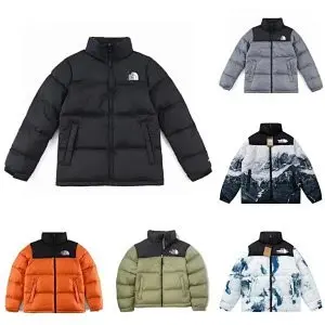 THE NORTH FACE Down jacket