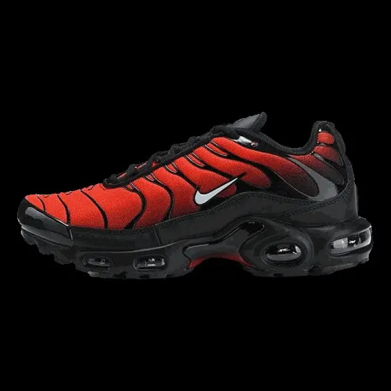 Nike Max Plus TN Shoes