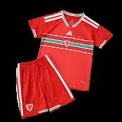 2026 Wales Kids Fan Version Kit