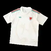 2026 Wales Fan Version Away Jersey