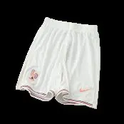 2026 France Player Version Shorts