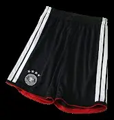 2026 Germany Player Version Shorts
