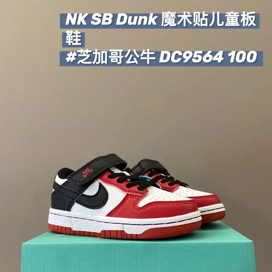 Nike Dunk children's Shoes