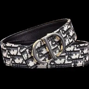 Dior belt