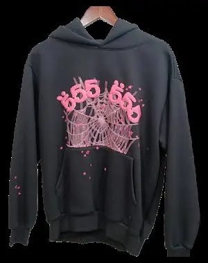 Basic Sp5der Hoodie
