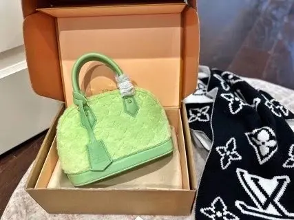 LV Louis Vuitton Bag