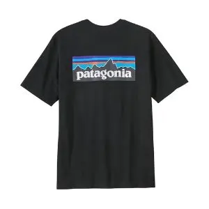 Patagonia T-shirt Tee