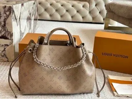 LV Louis Vuitton Bag