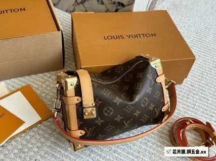 LV Louis Vuitton Bag