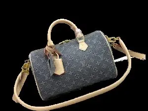 LV Louis Vuitton Handbags