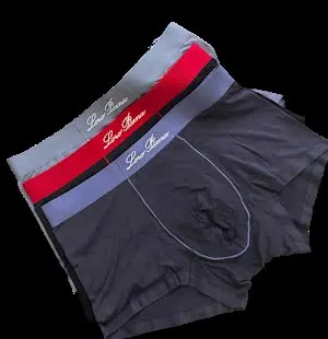 Loro Piana Underwear