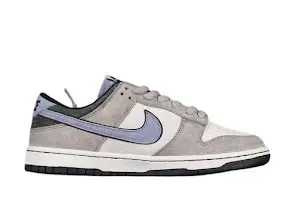 Nike Dunk Sneakers