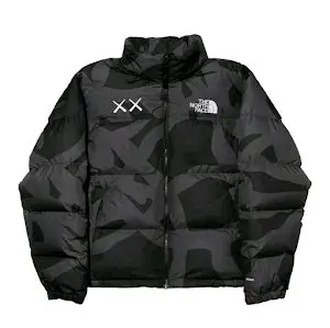 The North Face down jacket