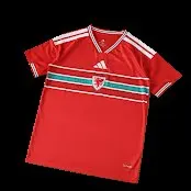 2026 Wales Fan Version Jersey