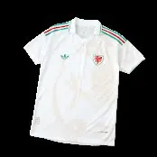 2026 Wales Player Version Away Jersey